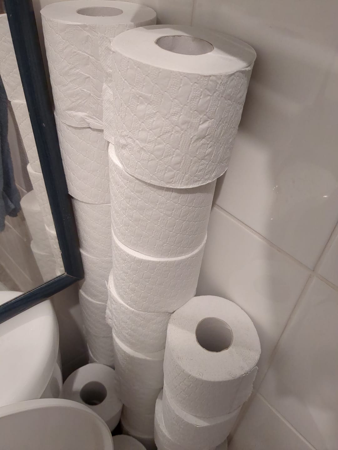 Customer photo review of 100% Recycled Toilet Paper