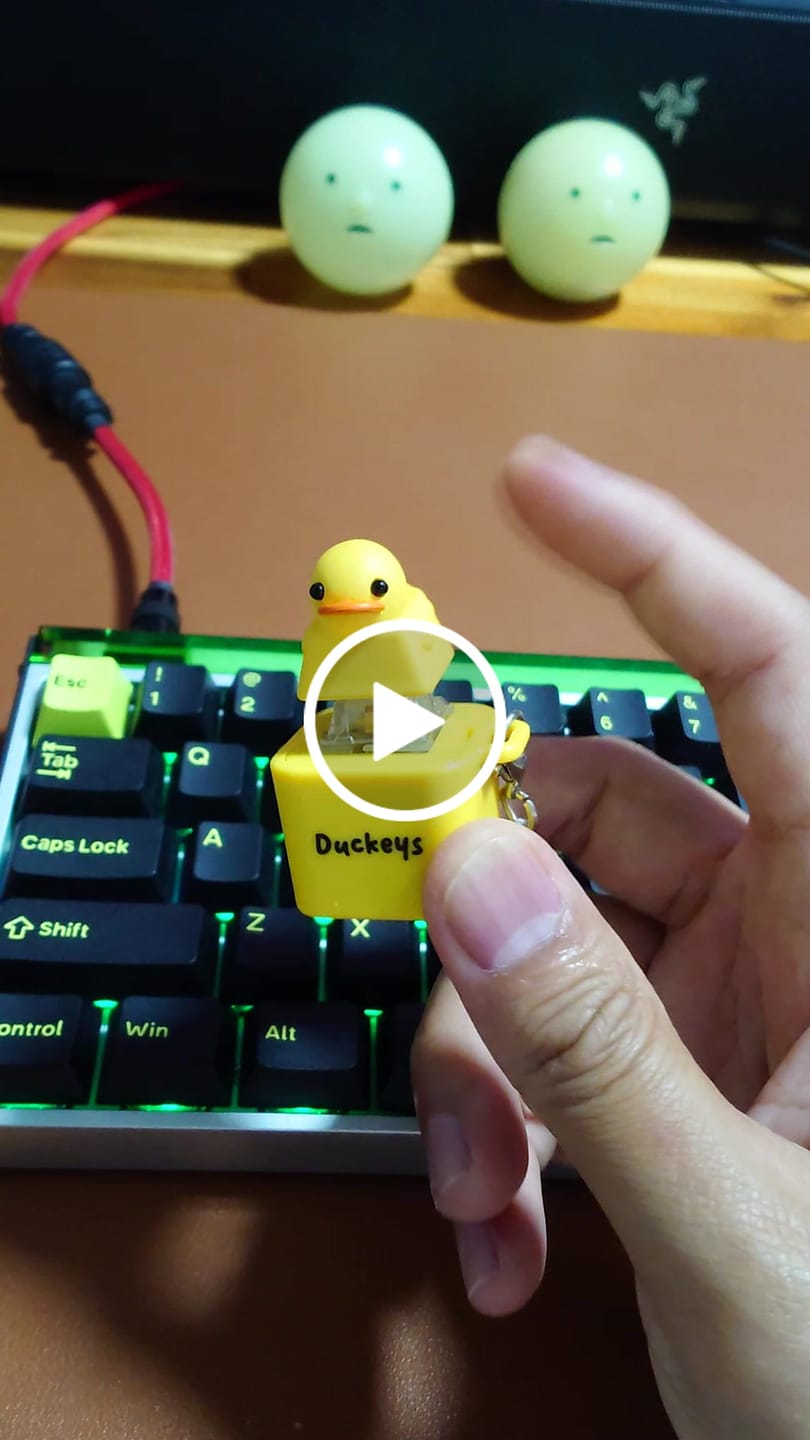Customer video review of Quackey - Fidget Toy that Quacks!