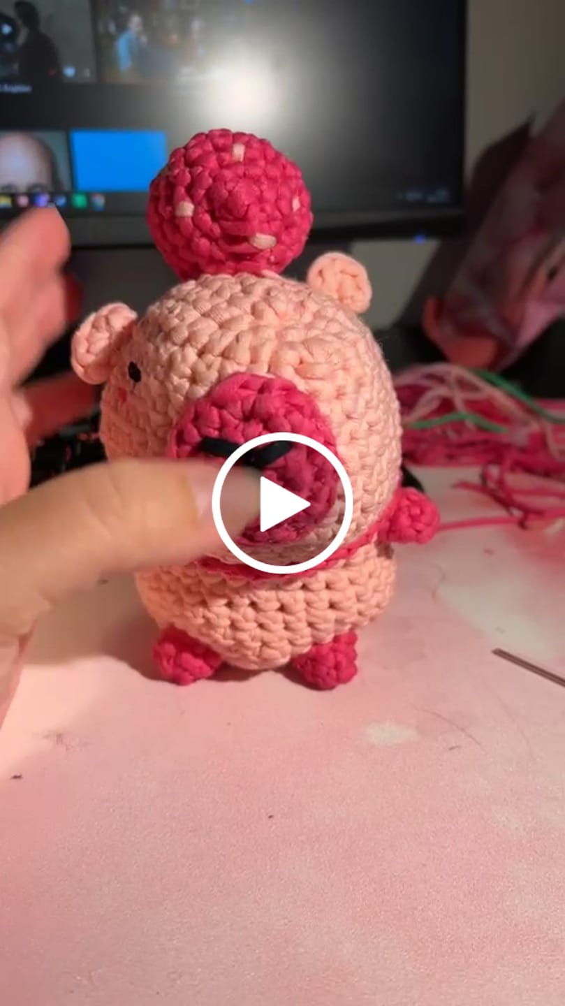 Customer video review of Lily The Strawberry Capybara Crochet Kit