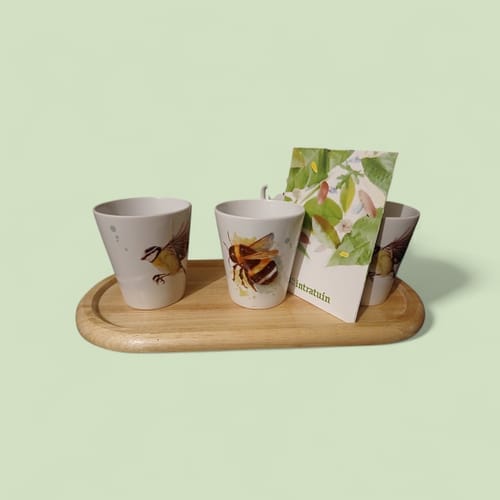 Customer photo review of 300ml keramische bloempot voor sublimatie