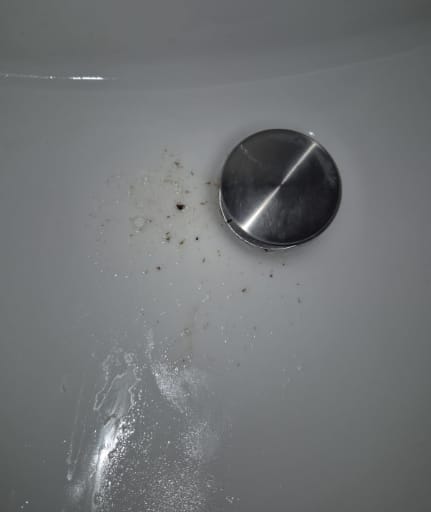 Customer photo review of Enjuague Resplandor Dental