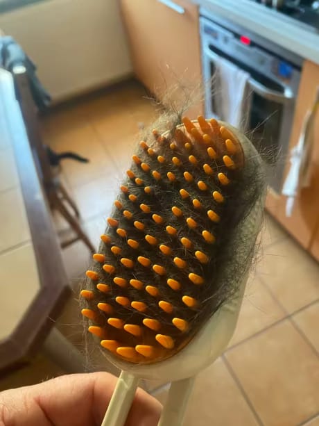 Customer photo review of ™CloudComb- מברשת אדים חכמה לטיפול בנשירה