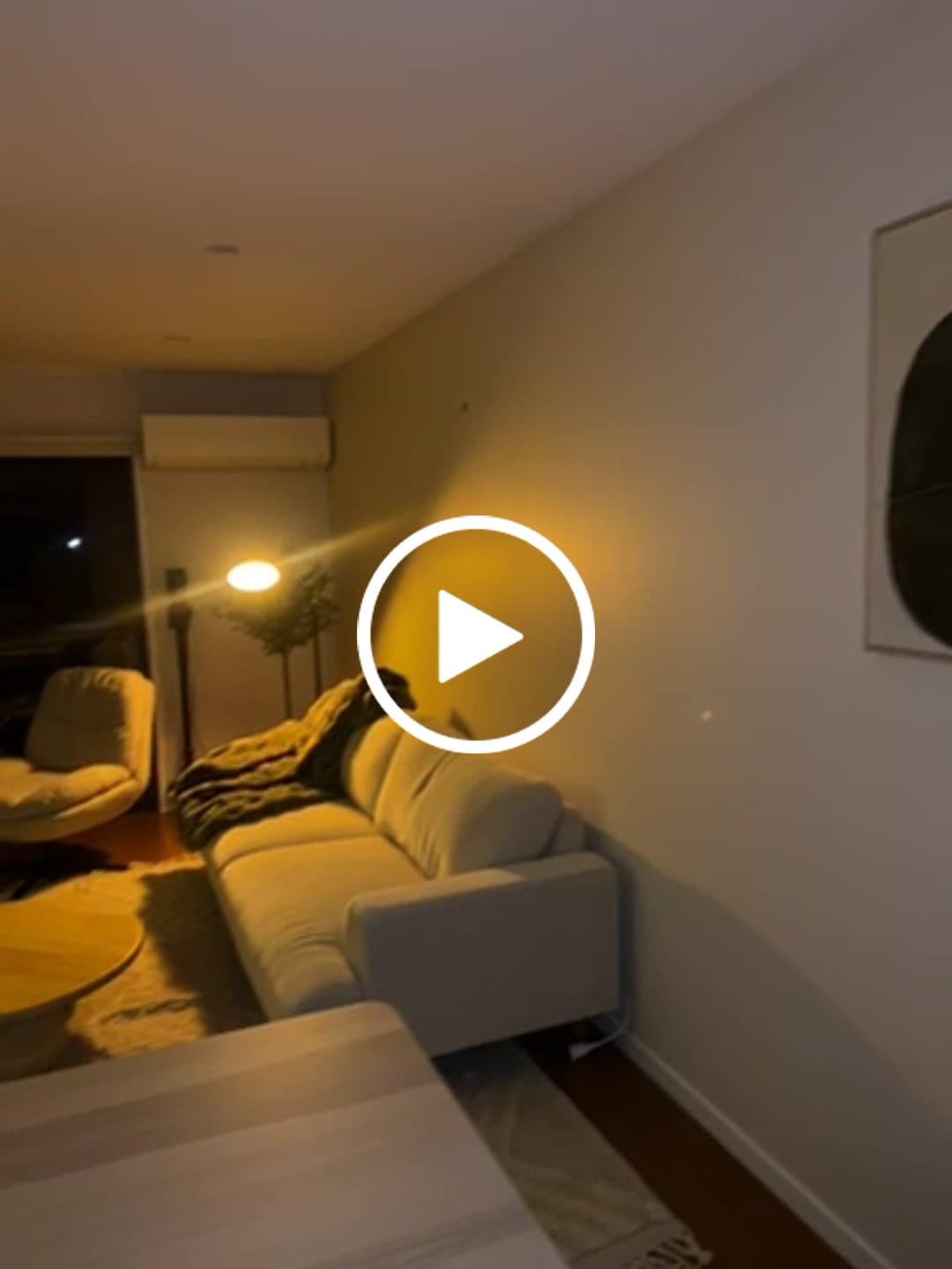 Customer video review of Abstract Painting Canvas #AP181