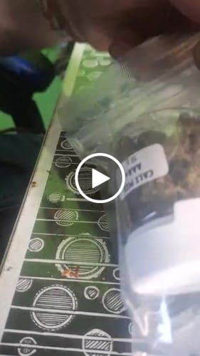 Customer video review of CALI MIX AAA+ – Premium Selection