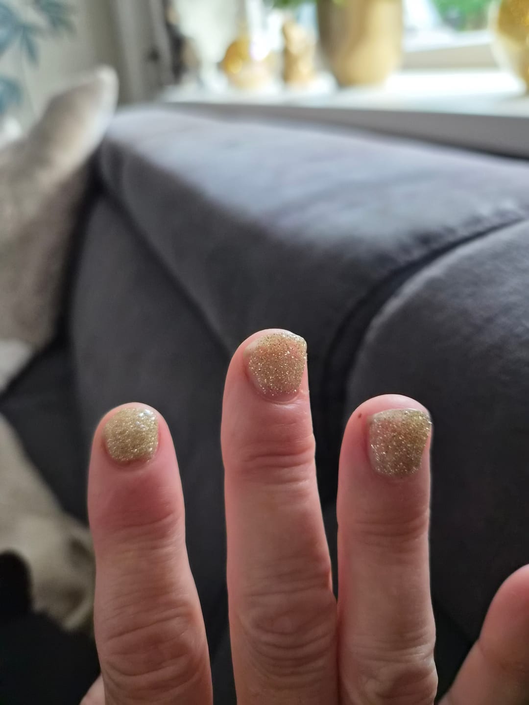 Customer photo review of Champagne Gold Dipping Powder