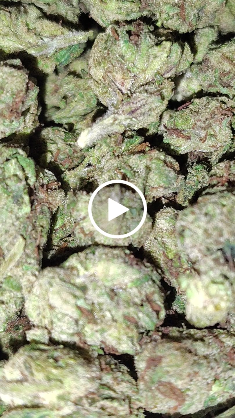 Customer video review of Gelato Candy