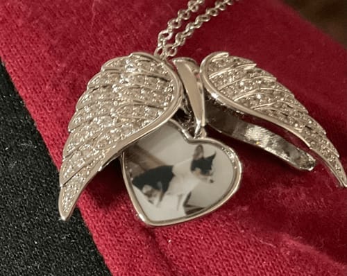 Customer photo review of Custom Angel Photo Locket Necklace