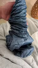 Customer photo review of DryPup — Hands-Free Dog Drying Bag