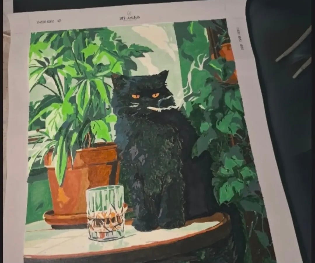 Customer photo review of Grumpy cat | Paint by Number