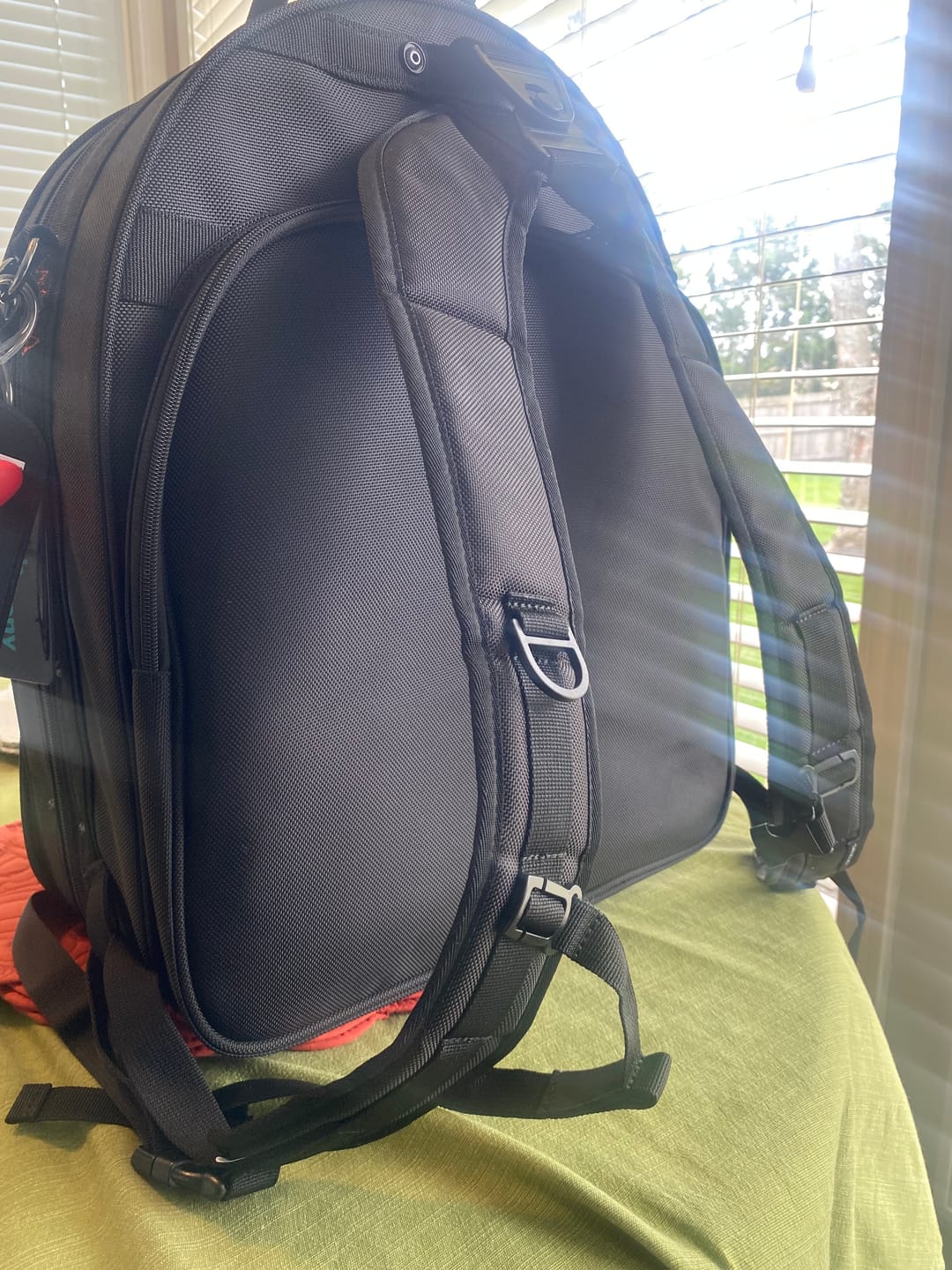 Customer photo review of Protec Pro Pac - Detachable Bell French Horn Case with Mute Compartment