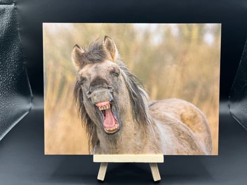 Customer photo review of Aluminium plaat 15x20cm voor sublimatie