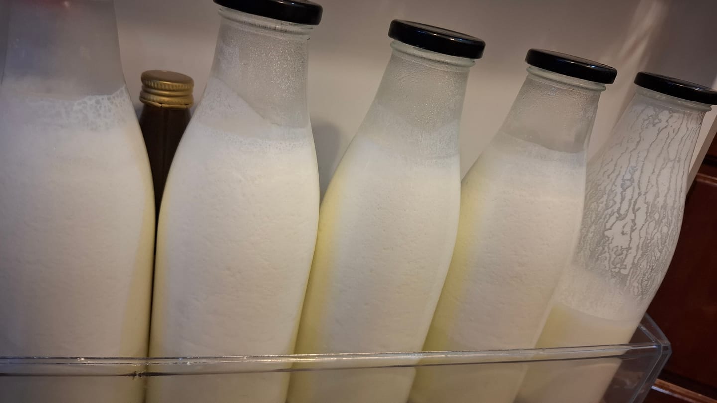 Customer photo review of Cow Milk 1L