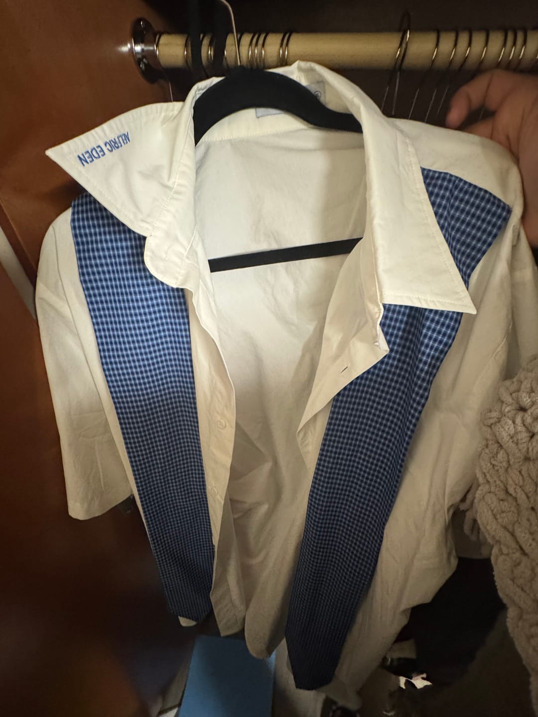 Customer photo review of Aelfric Eden Plaid Necktie Shirt