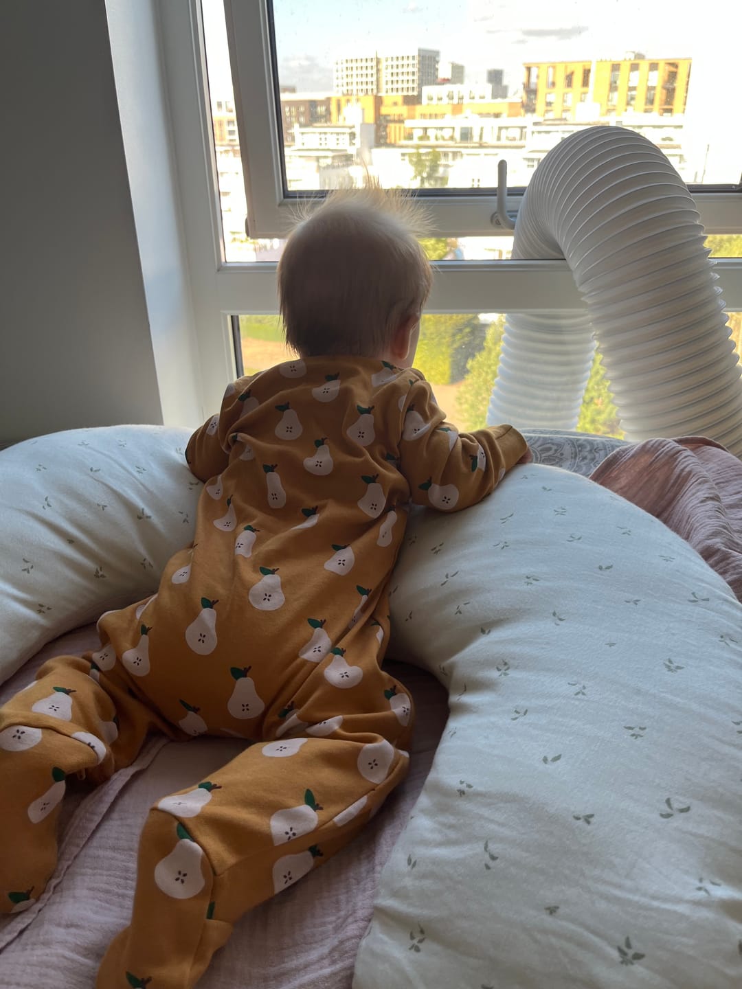 Customer photo review of Summer Pears Zip Organic Babygrow