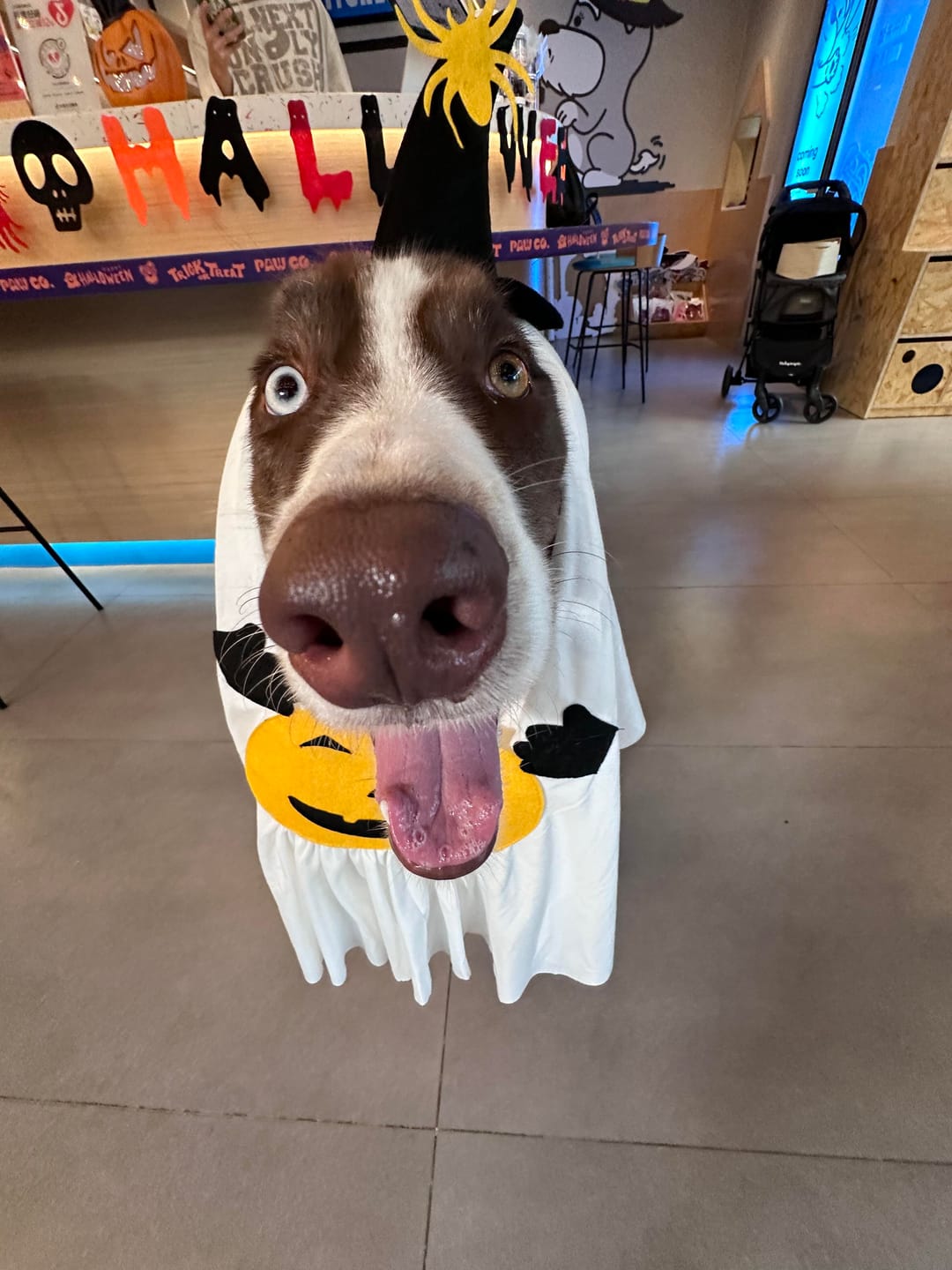 Customer photo review of Pumpkin Ghost Costume