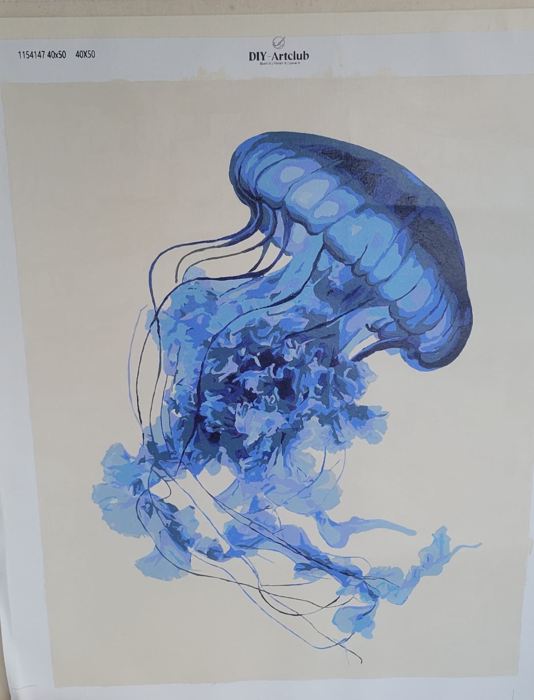 Customer photo review of Blue Jelly Fish | Paint by Number