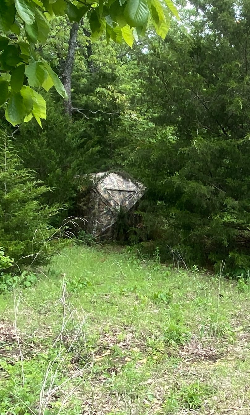 Customer photo review of VisST 270° See Through Ground Blinds | Pop Up Portable Blinds for 2 3 Person Deer Hunting with Silent Magnetic Door