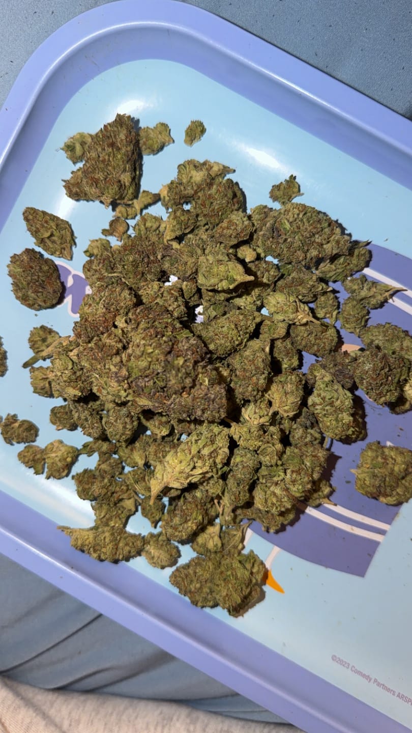 Customer photo review of Gorilla Glue Greenhouse THCA