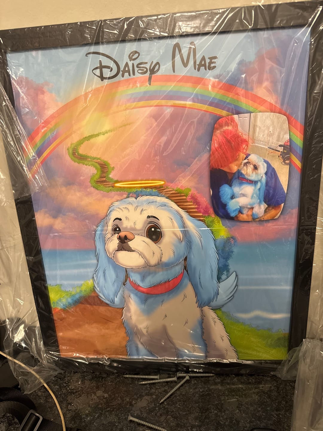 Customer photo review of Custom Hand-Drawn Cartoon Pet Portrait