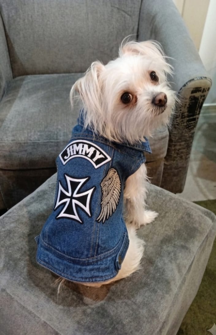 Customer photo review of Denim Dog Vest Raw Blue - Unpatched