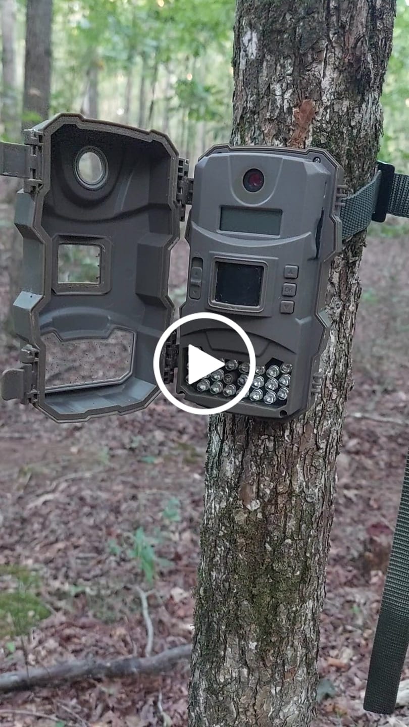 Customer video review of 4 for $50! - Tasco 12MP with Low Glow Infrared Flash Trail Camera