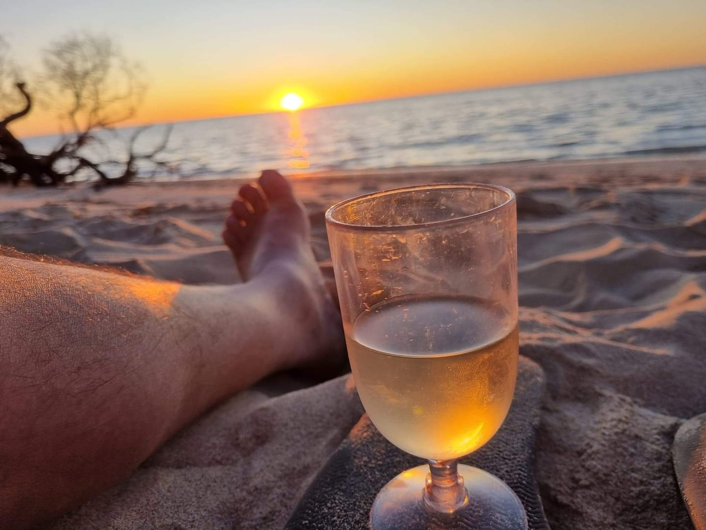 Customer photo review of Zero Sugar Sauvignon Blanc – Australian White Wine | 6 Pack
