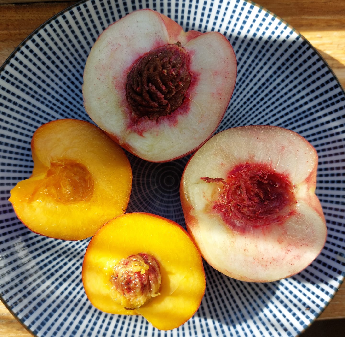 Customer photo review of Pfirsich-Mix Bio von Nicolas 3kg Box
