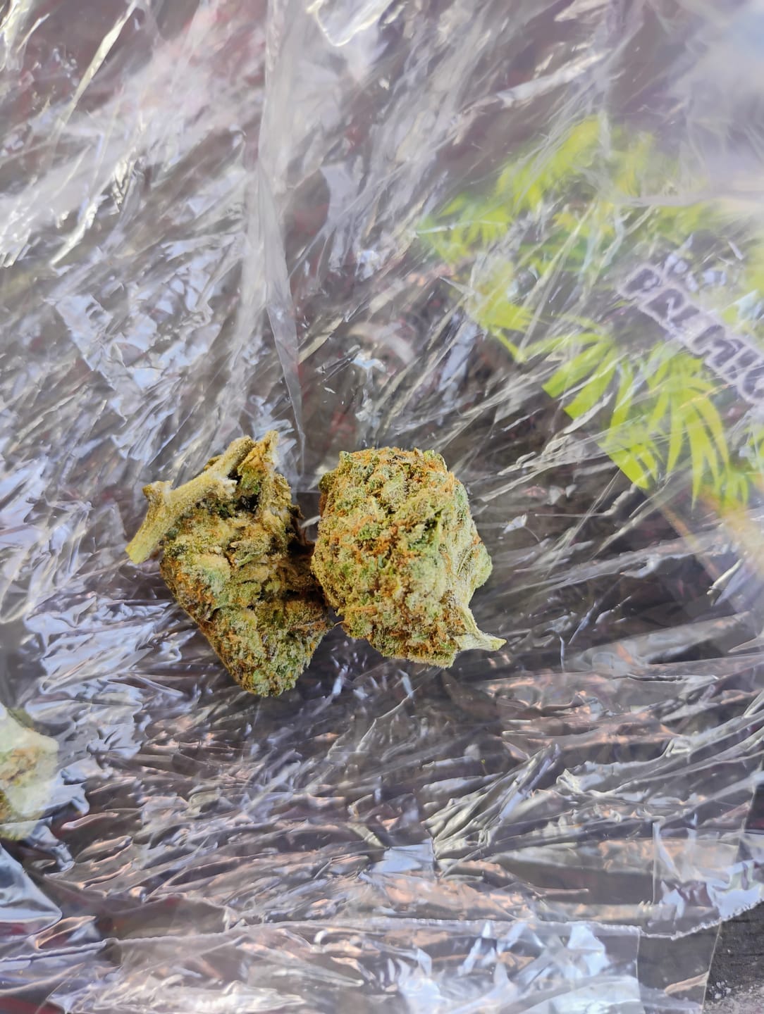 Customer photo review of PK Runtz Greenhouse THCA