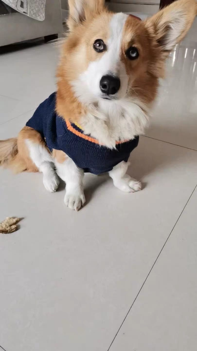 Customer photo review of Halloween Costume Crochet Sweater