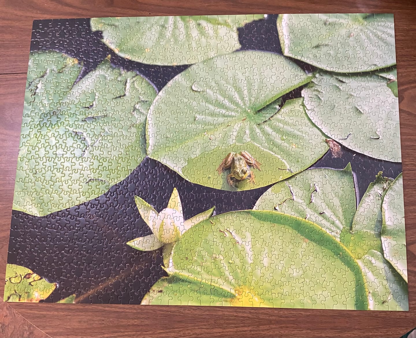 Customer photo review of Custom jigsaw puzzle