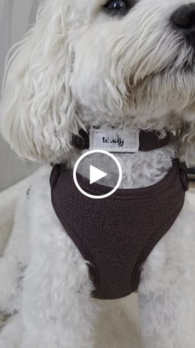 Customer video review of Chocolate┃Bouclé Collar