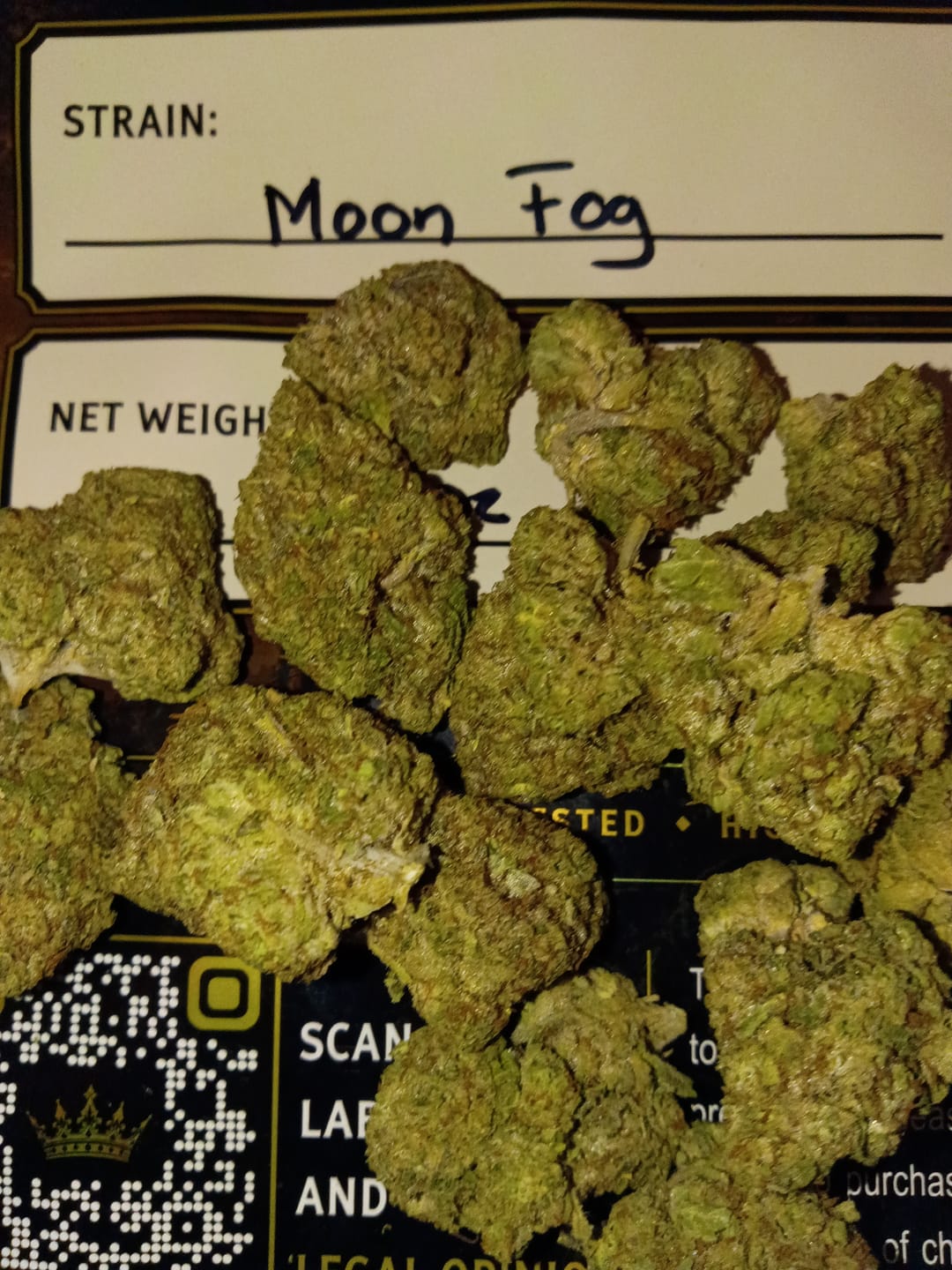 Customer photo review of Moon Fog Light Assist THCA