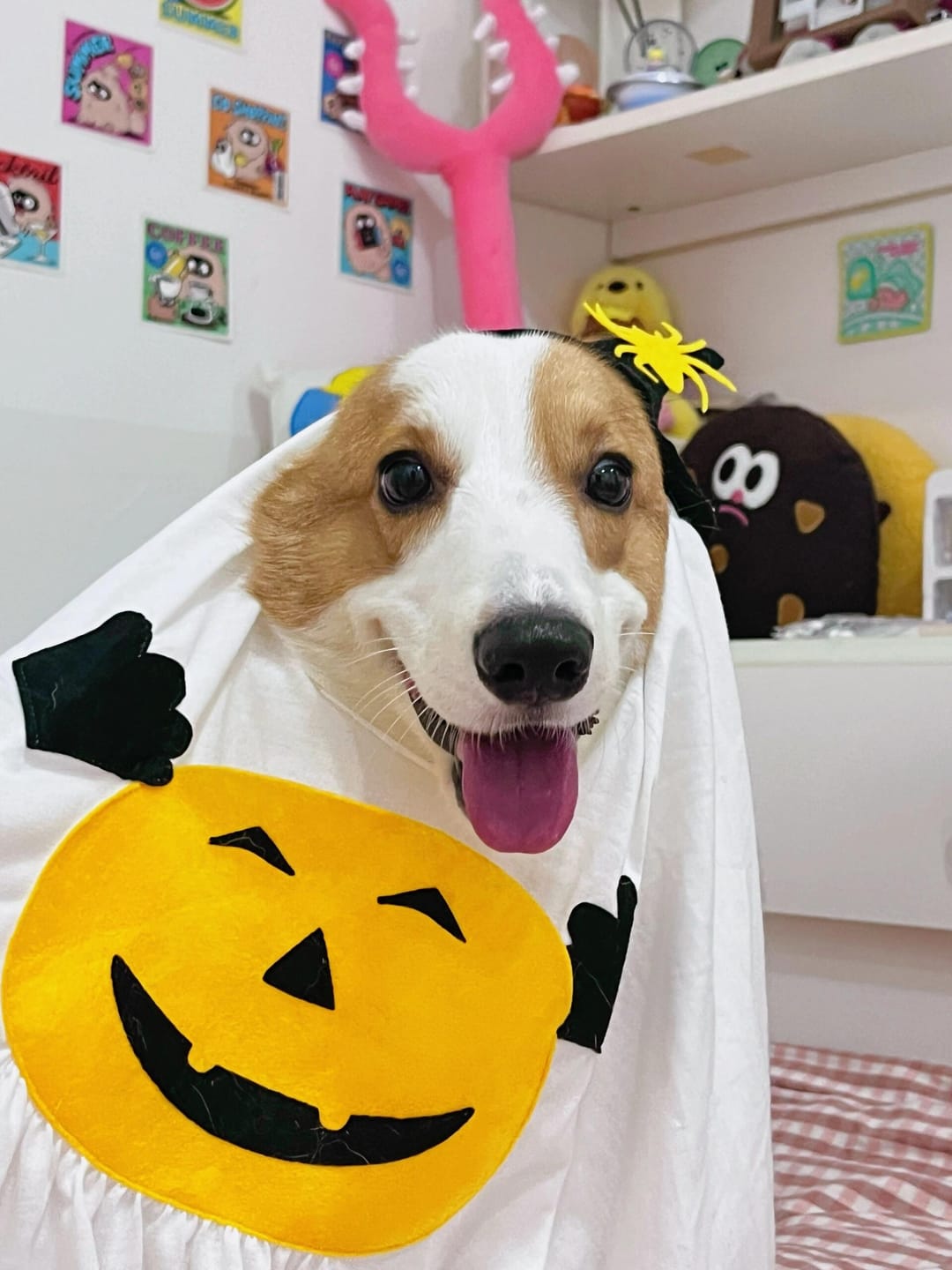 Customer photo review of Pumpkin Ghost Costume