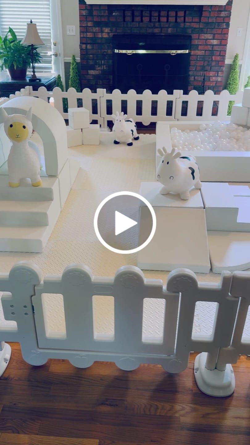 Customer video review of Bundle of 4 - Bouncy Hopper Toys of Your Choice
