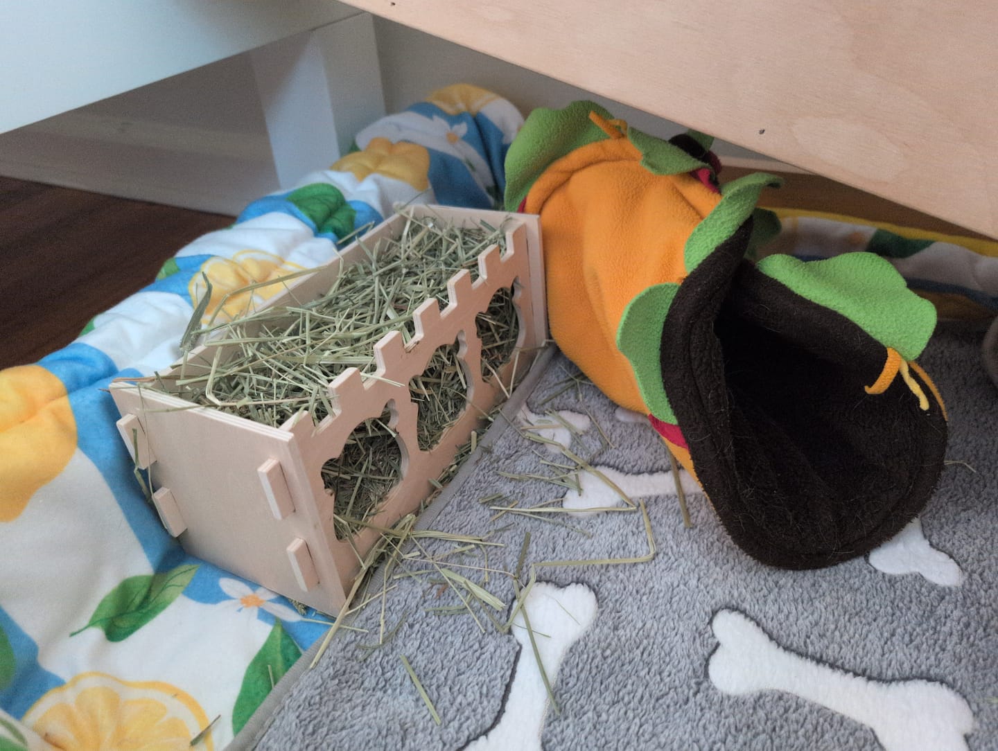 Customer photo review of Royal Wooden Hay Rack Made for Chivalrous Cavies