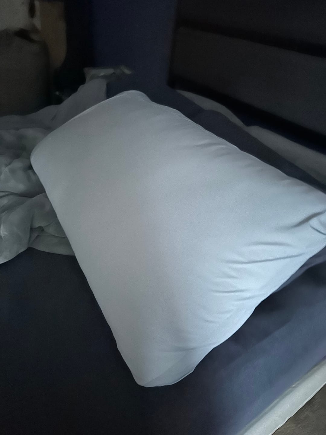 Customer photo review of Puff Pillow