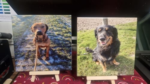 Customer photo review of Sublimatie tegel 15x15 cm wit glans – keramiek A+ kwaliteit