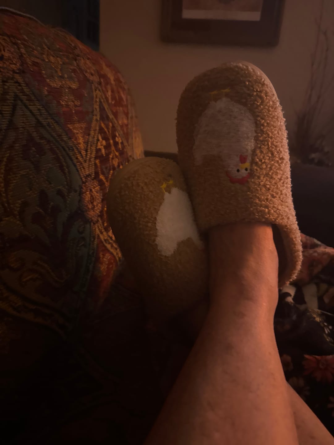 Customer photo review of Brown Fuzzy Chicken Slippers - Adult