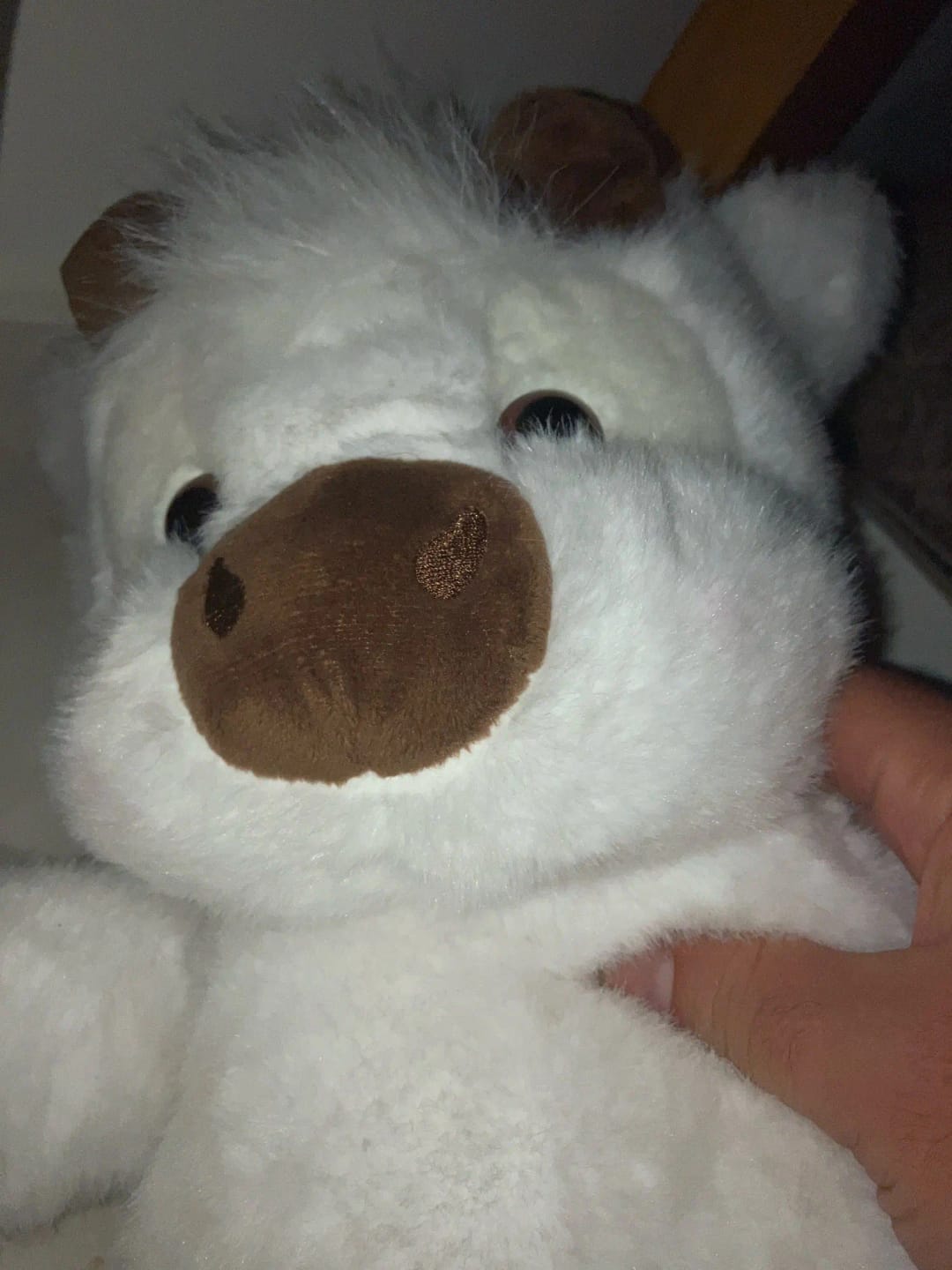 Customer photo review of Peluche Corredor Pluvie™