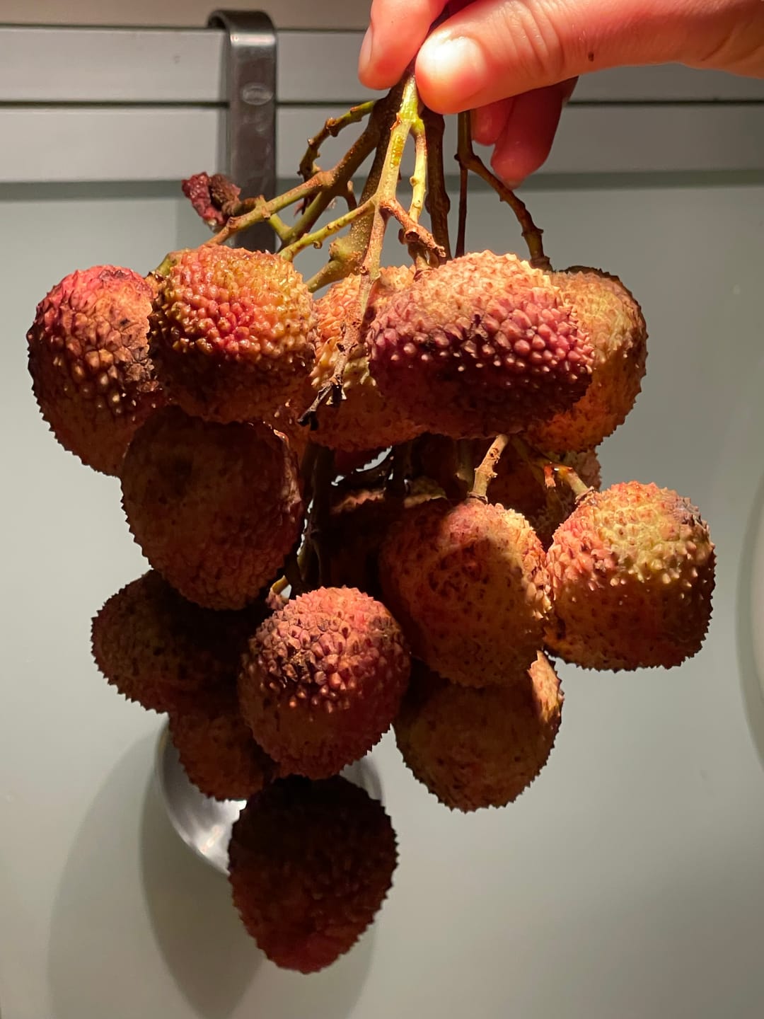 Customer photo review of Litschi (Lychee) Bio von Julian