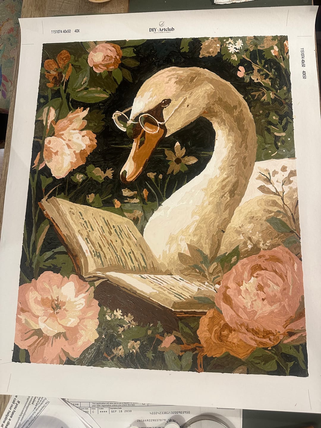 Customer photo review of Reading swan | Paint by Number