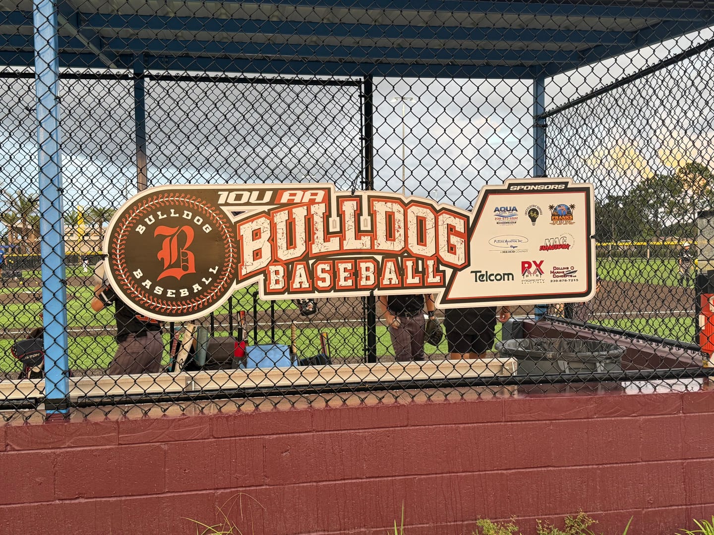 Customer photo review of Dugout Signs