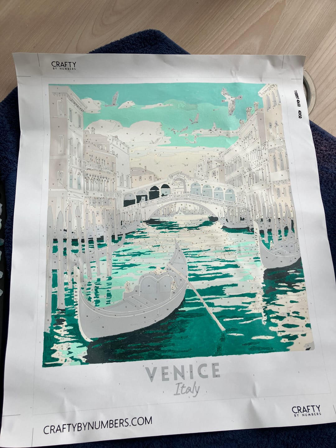 Customer photo review of Venice Travel Poster
