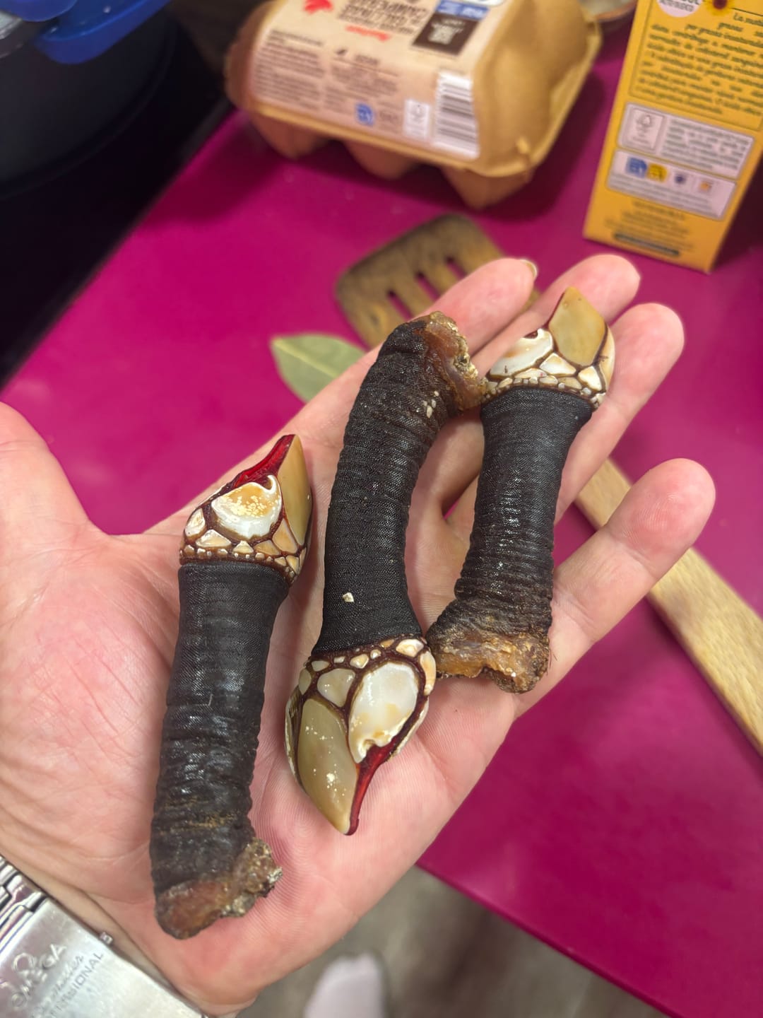 Customer photo review of Percebe