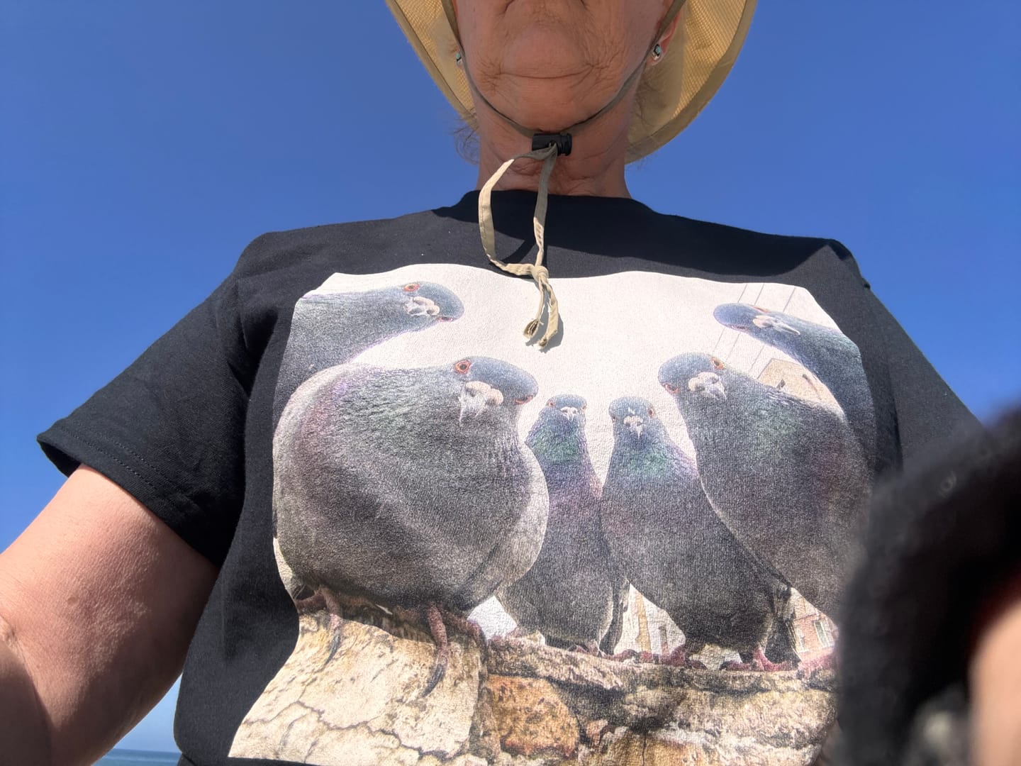 Customer photo review of Flock Of Pigeons 3 T-Shirt