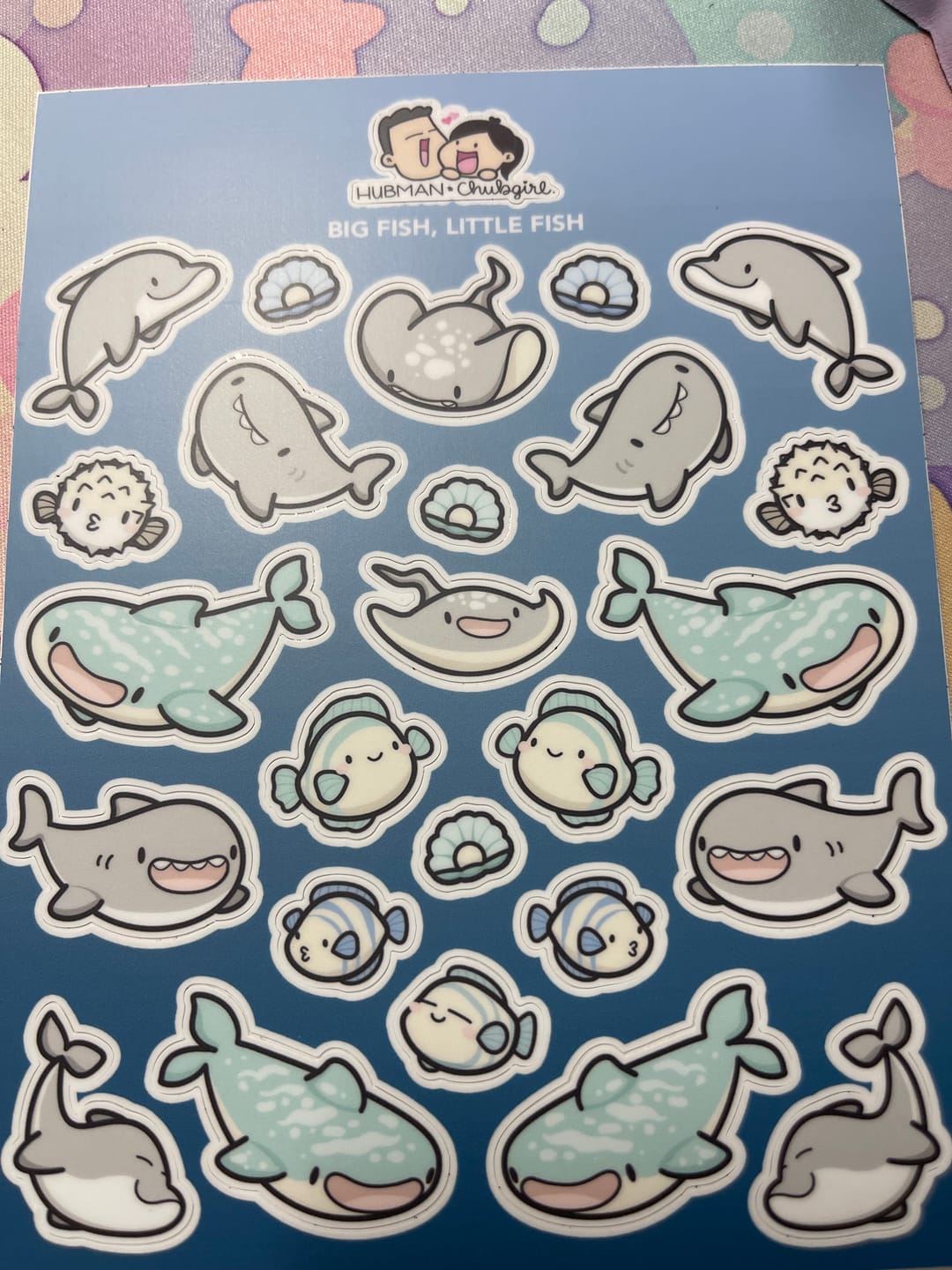 Customer photo review of Big Fish, Little Fish Sticker Sheet
