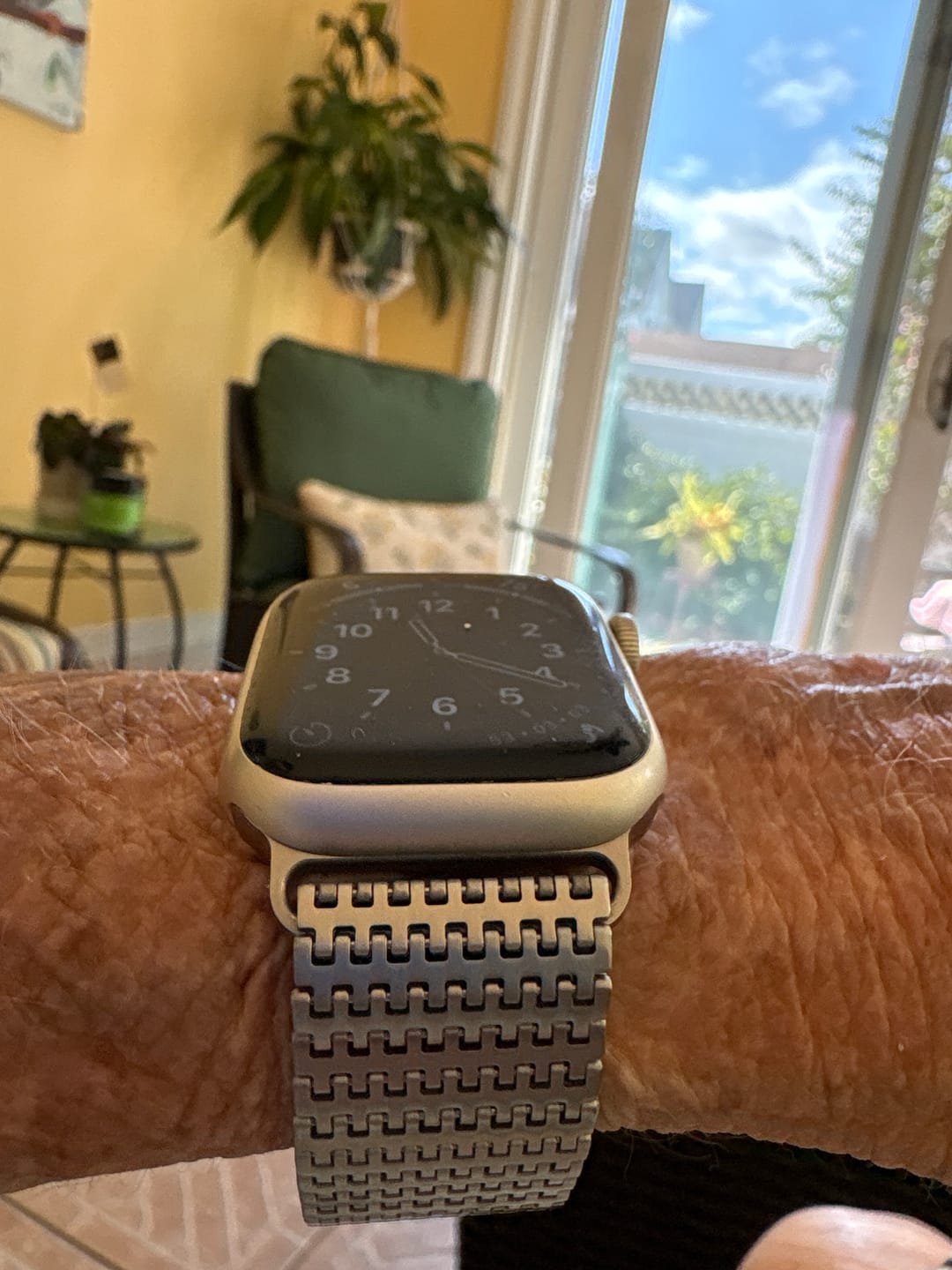 Customer photo review of Stella Magnetic Stainless Band