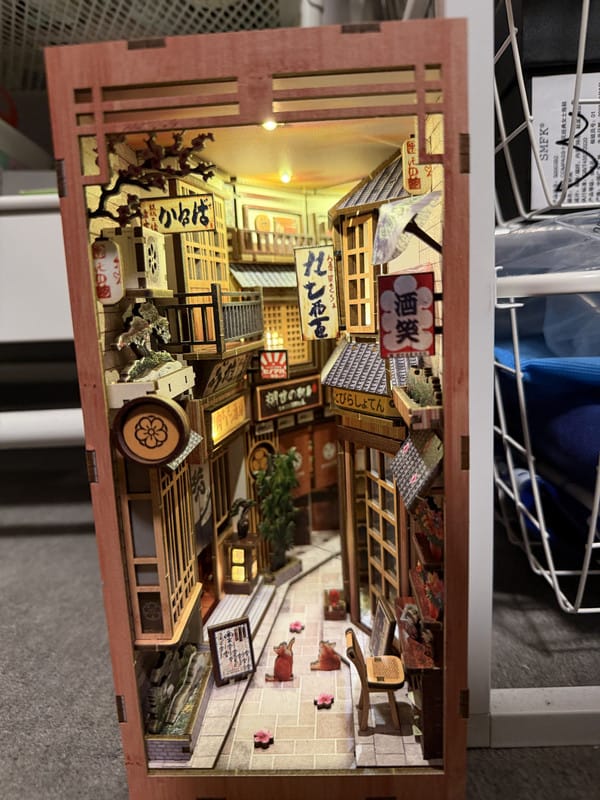 Customer photo review of Alley Waiting for the Cat