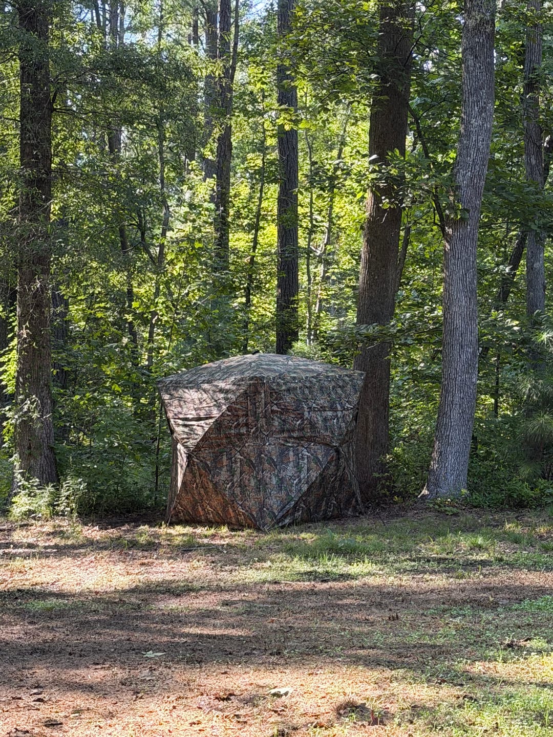 Customer photo review of VisMax See Through Blind | 270° Pop Up 3-4 Man Deer Blind | Portable Ground Blind Hunting for Sale with Hunters Comfort Design