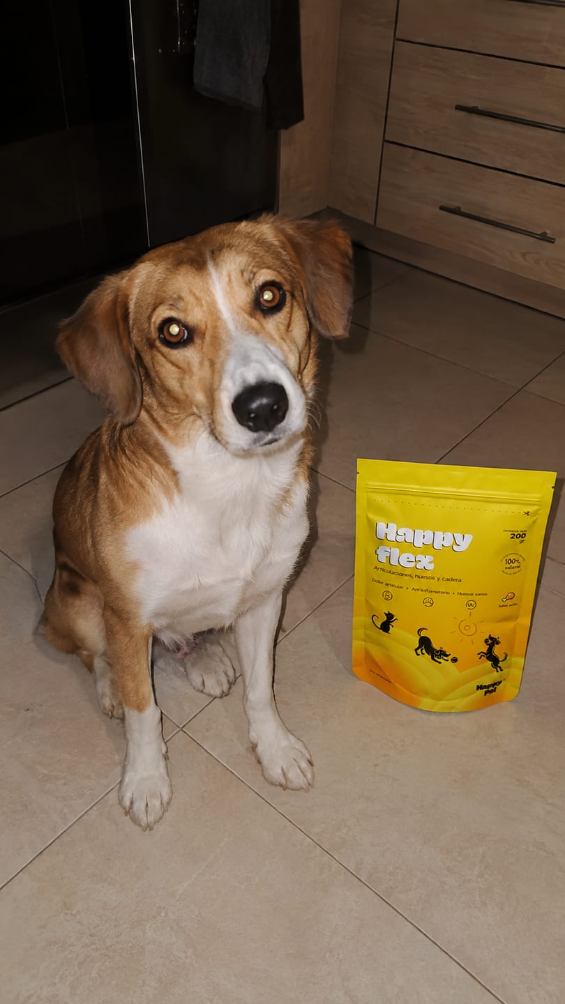Customer photo review of Happy Pal I Happy Flex I Suplemento Para Articulaciones de Perros y Gatos